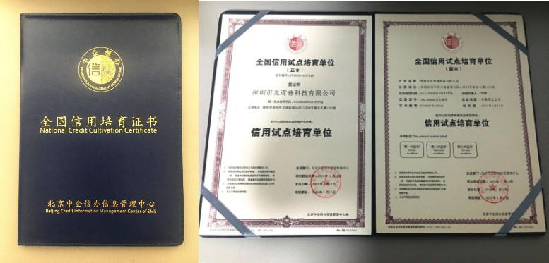 RINA TECH certification (2)