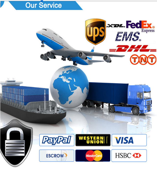 Shpping way-RINA TECH Shpping way-RINA TECH